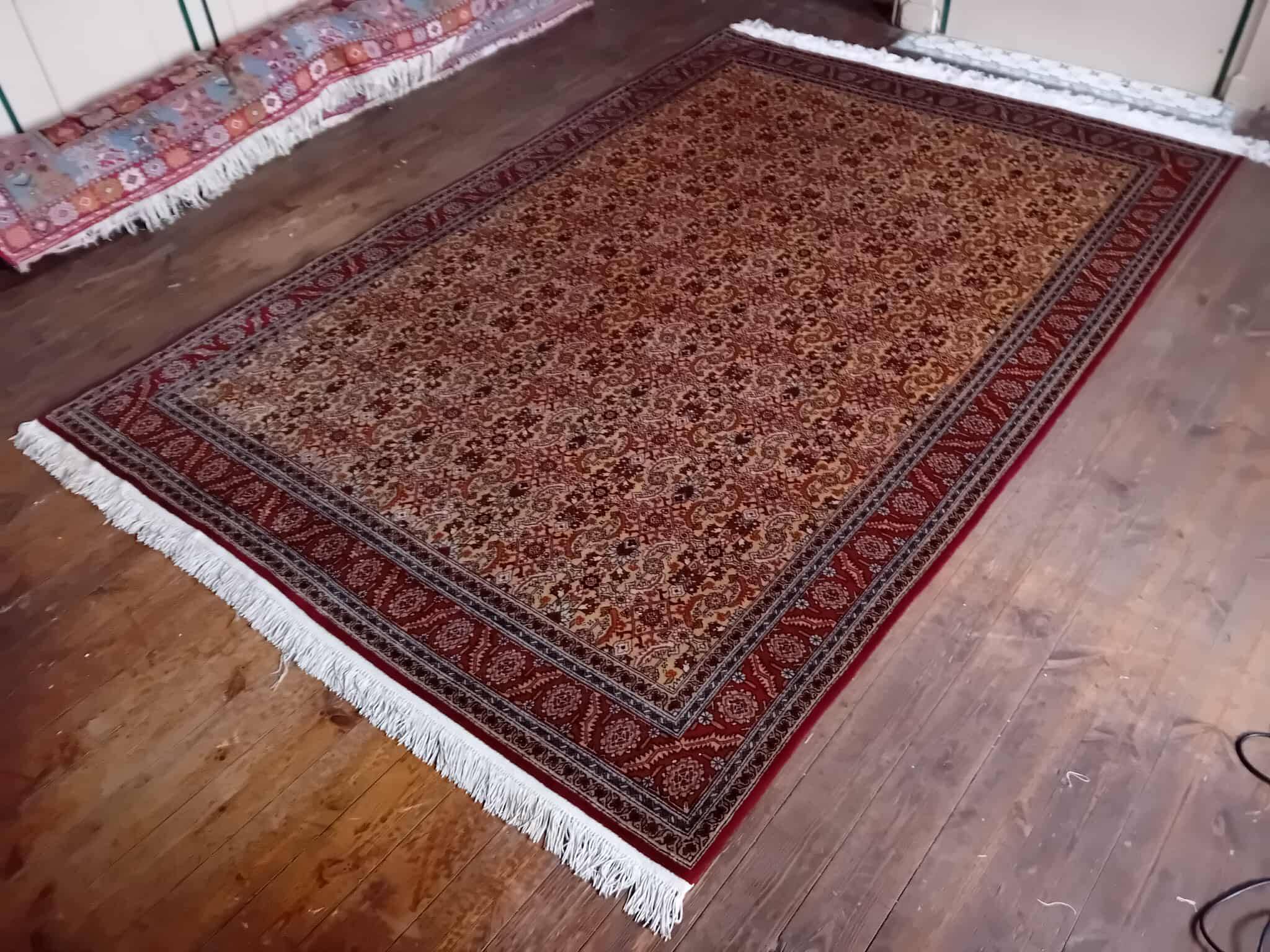Handmade Shirvan Caucasian Rug 283x200ccm