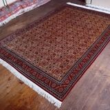 Handmade Shirvan Caucasian Rug 283x200ccm