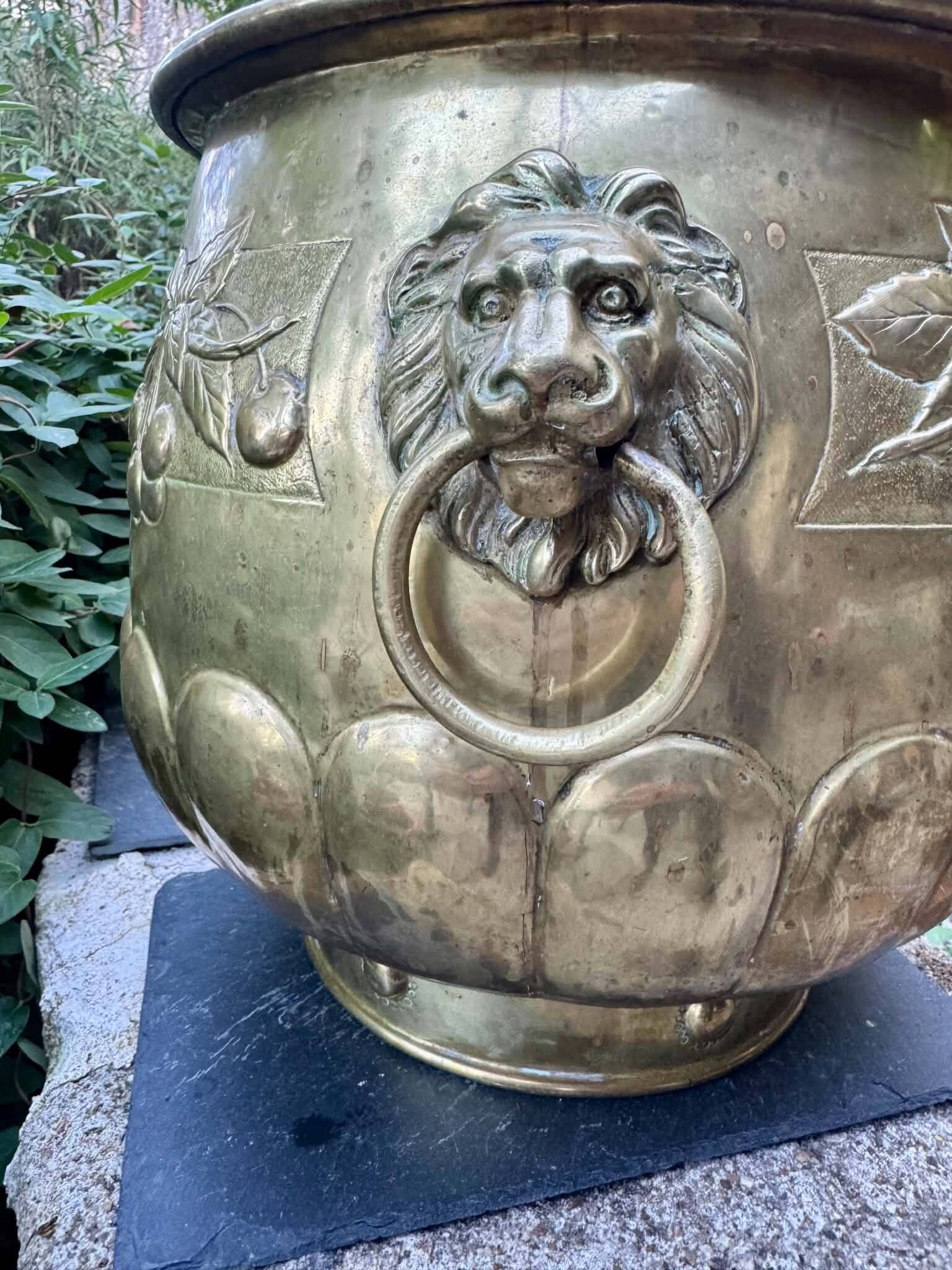 Large brass lion planter with a hallmark from the 19th century.