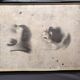Old Print Engraving 19th Century Shadowed Notebook Nose - Bertrand Reverdin Coindet