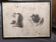Old Print Engraving 19th Century Shadowed Notebook Nose - Bertrand Reverdin Coindet