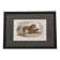 Framed vintage engraving – The Lion and the Lioness, after Buffon, 23 x 32 cm
