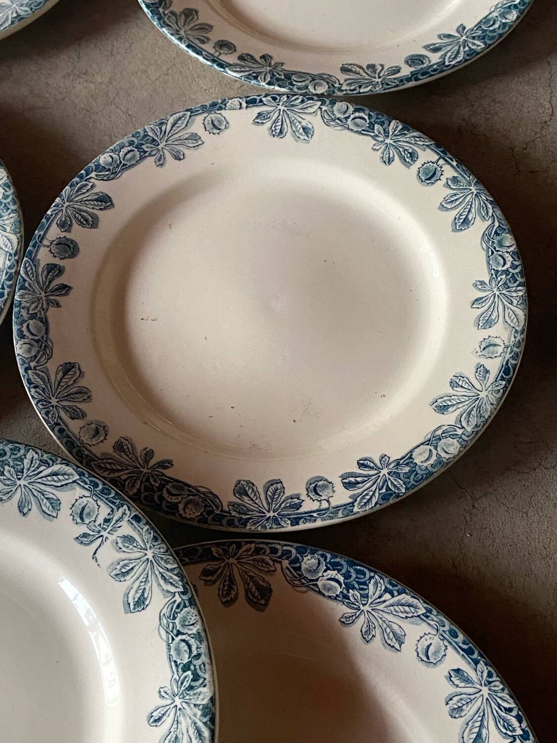 Set of six flat plates Terre de fer, Savoie model