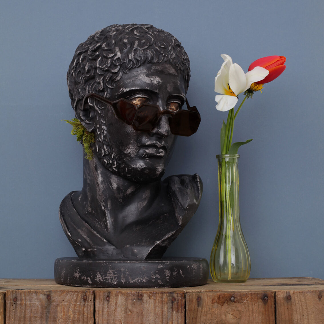 Greek head in waxed black plaster