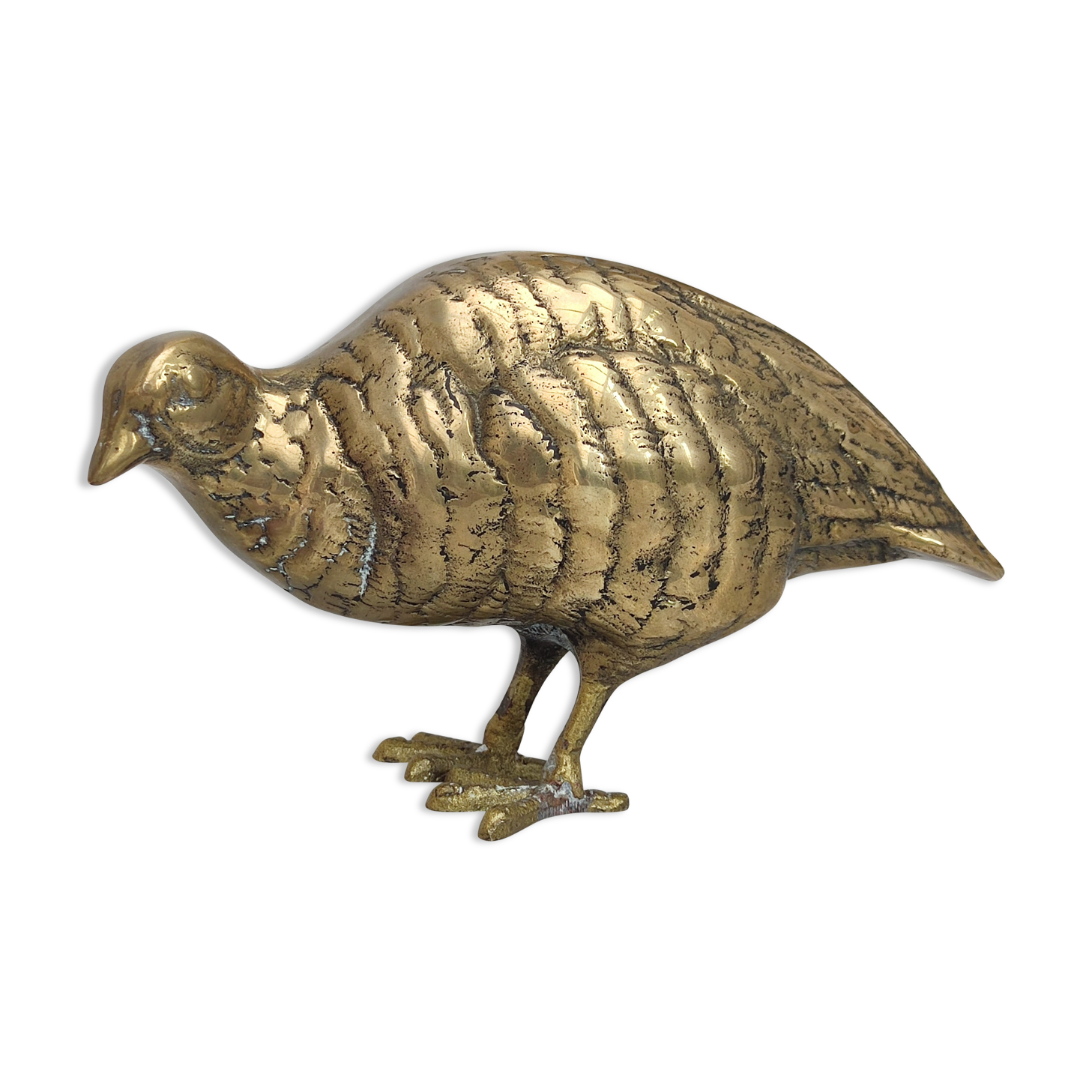 Brass quail