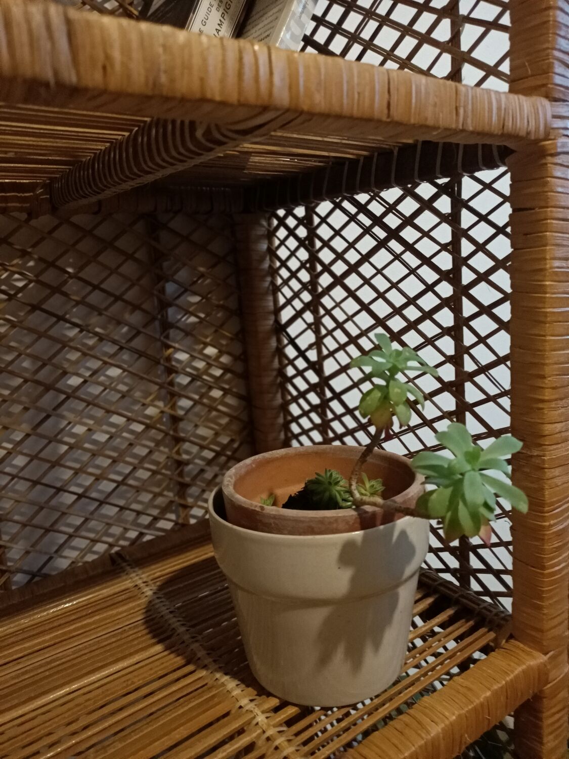 Round rattan shelf