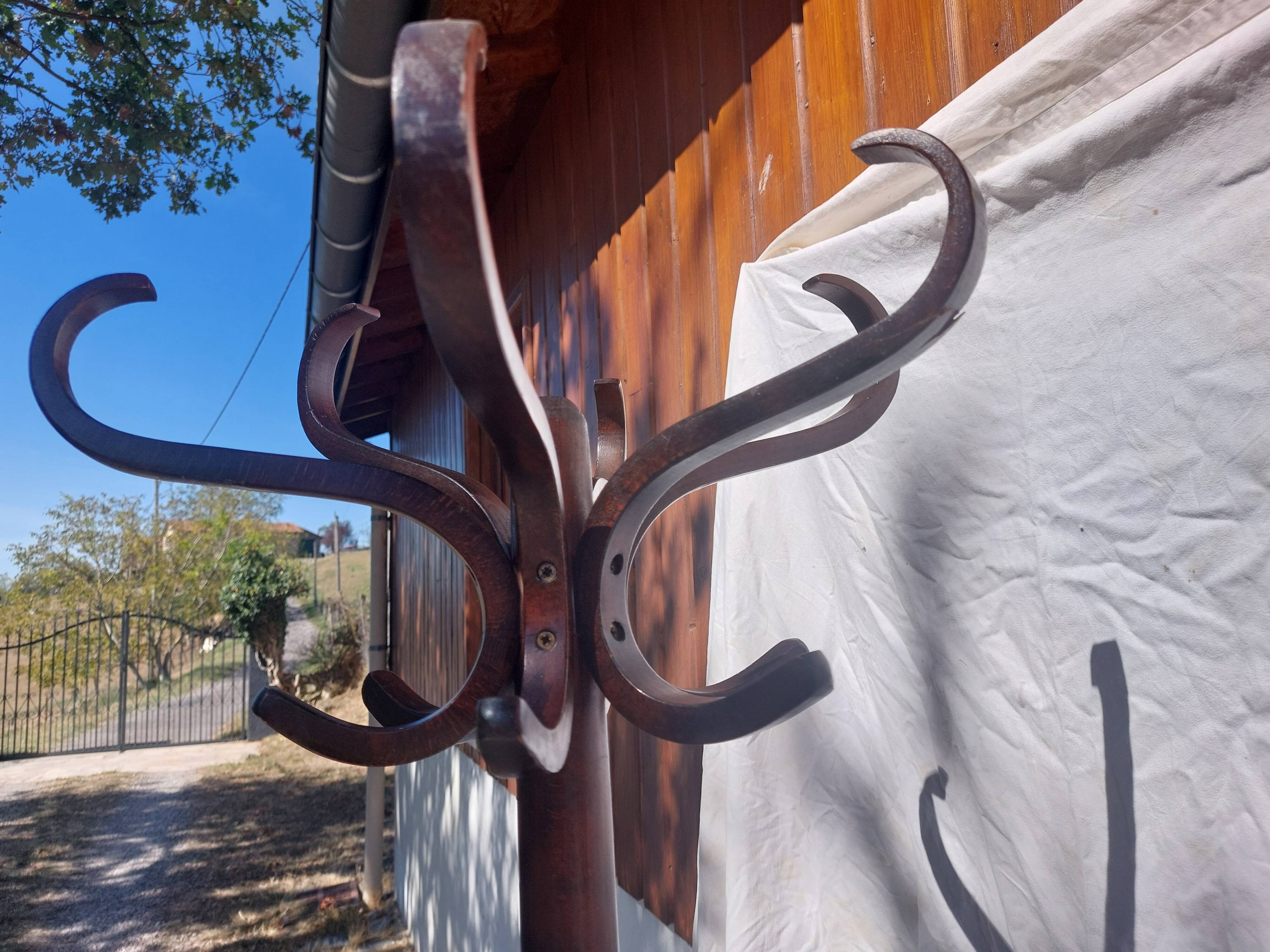portemanteau perroquet, teinte bois foncée