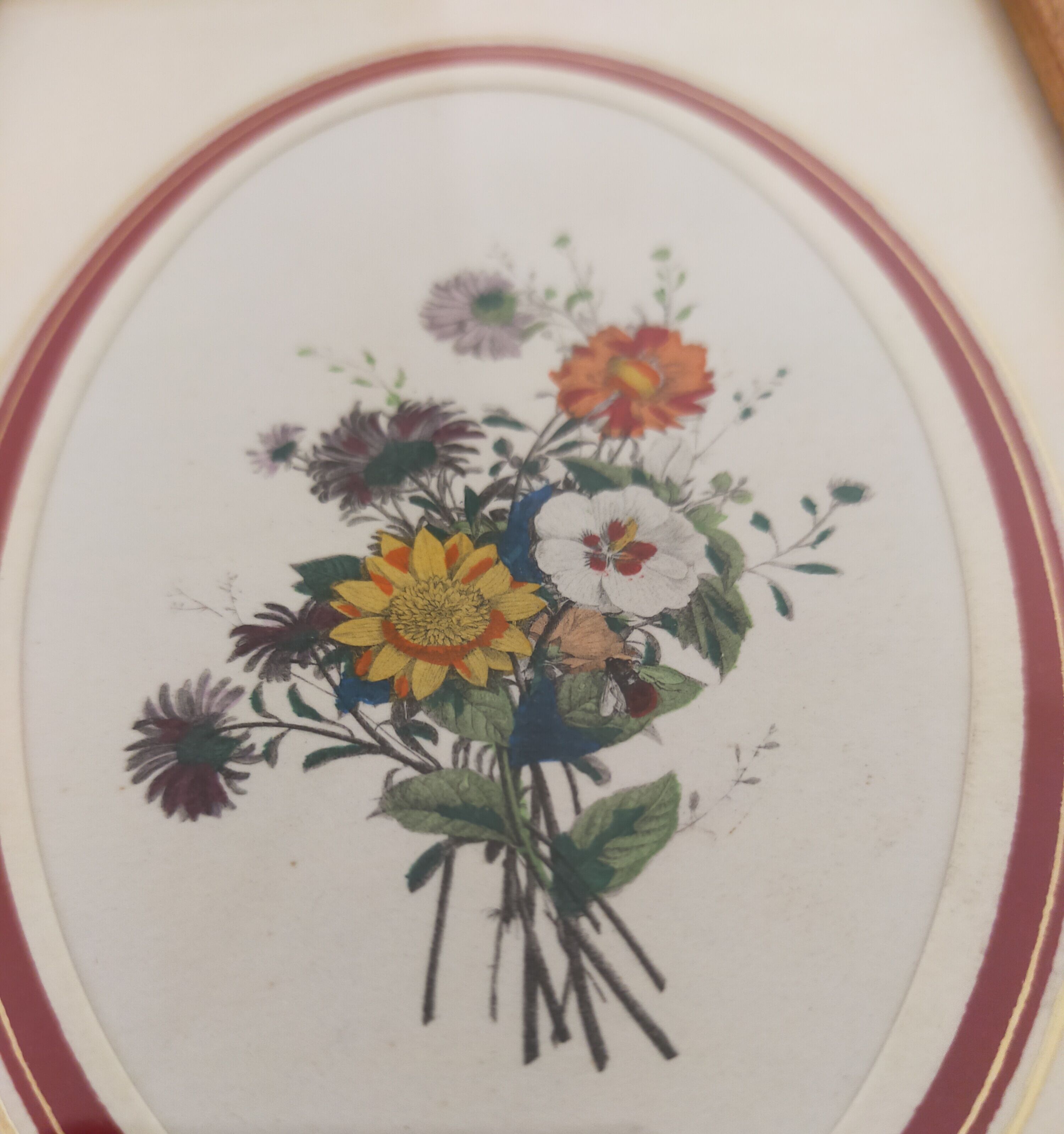 Framed antique botanical engraving with gilded wall frame