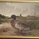 HST oil painting, Ermanno Clara, wild duck, late 19th early 20th century