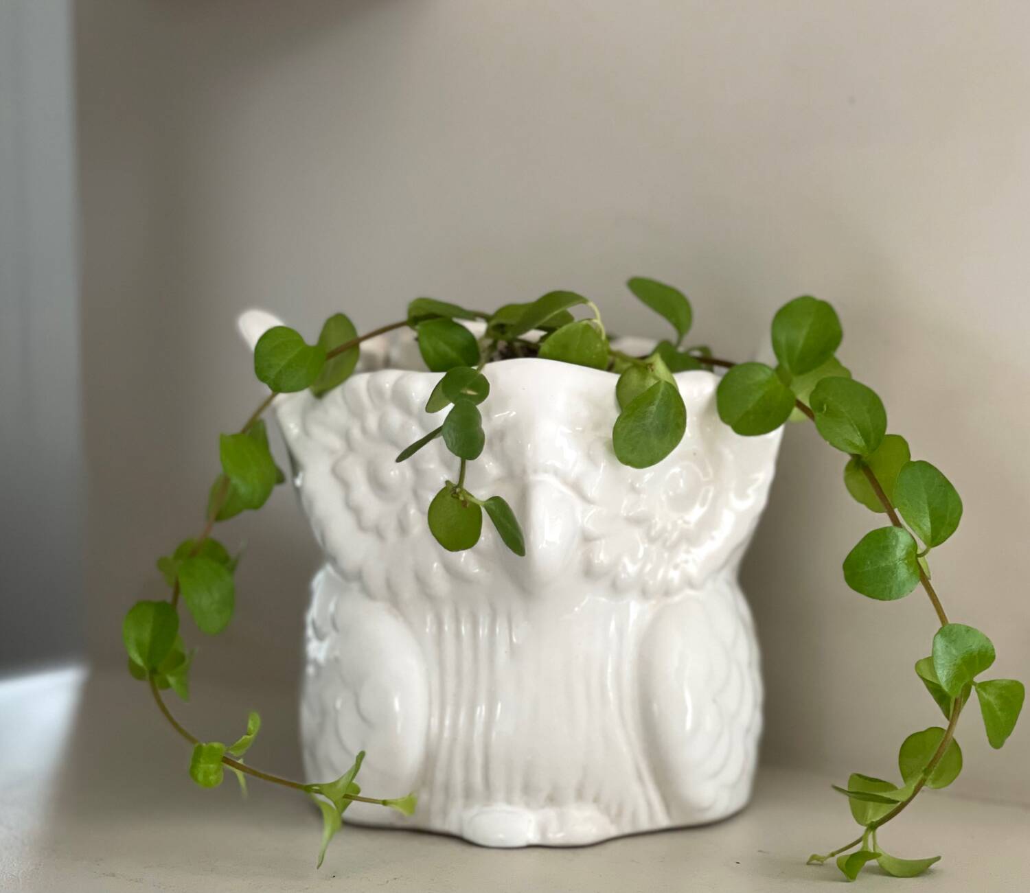 Owl plant pot