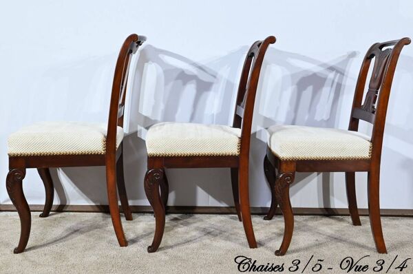 Suite de 5 Chaises en Acajou de Cuba, époque Restauration – Début XIXe