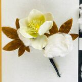 Vintage educational school display Cotton by Josef Galler, Germany, 1960s.