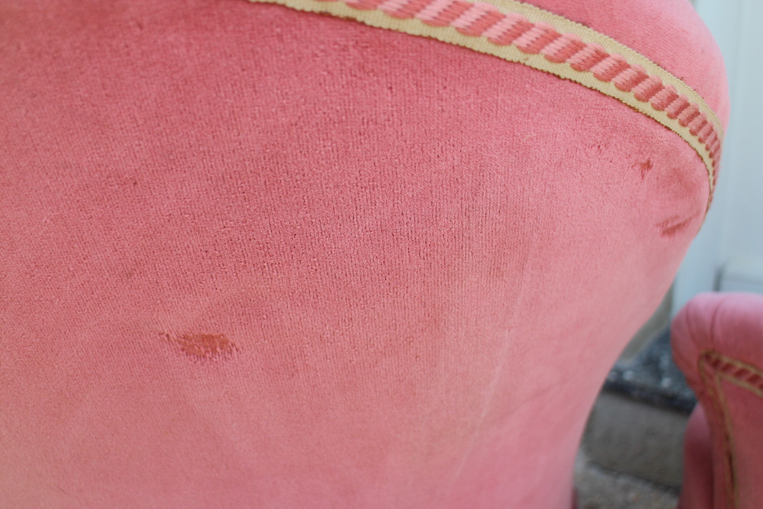 Pair of pink velvet toad armchairs