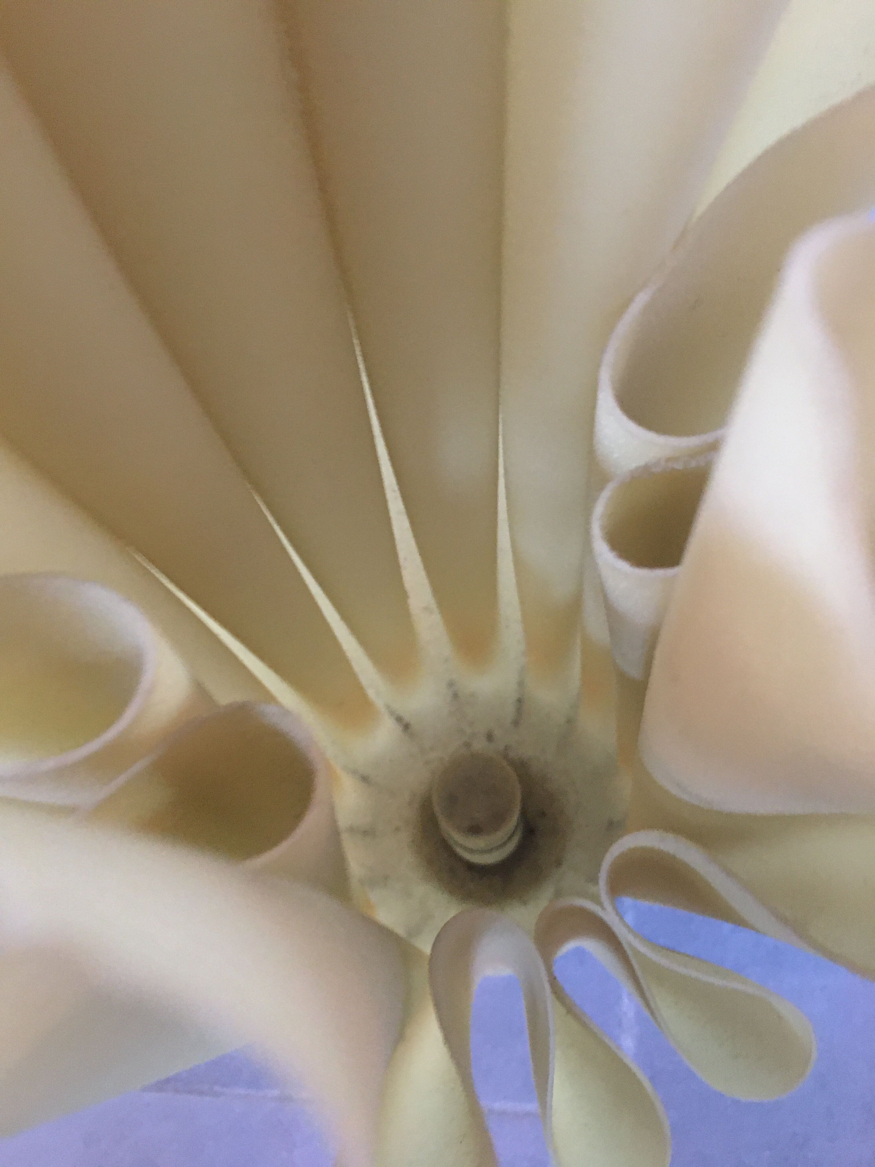 Georgia Jacob lamp, Athena, circa 1970