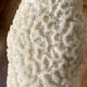 Corail blanc vintage
