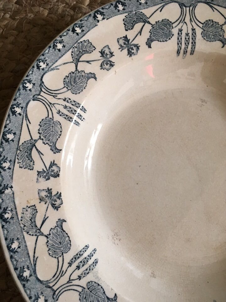 Creuse plates Sarreguemines model "nuts"