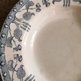 Creuse plates Sarreguemines model "nuts"