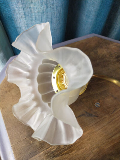 Tulip frosted glass wall lamp