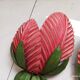 Duo appliques feuilles