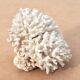 Vintage natural white coral, 1970s