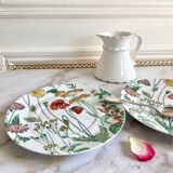 Two English dessert plates with flowers