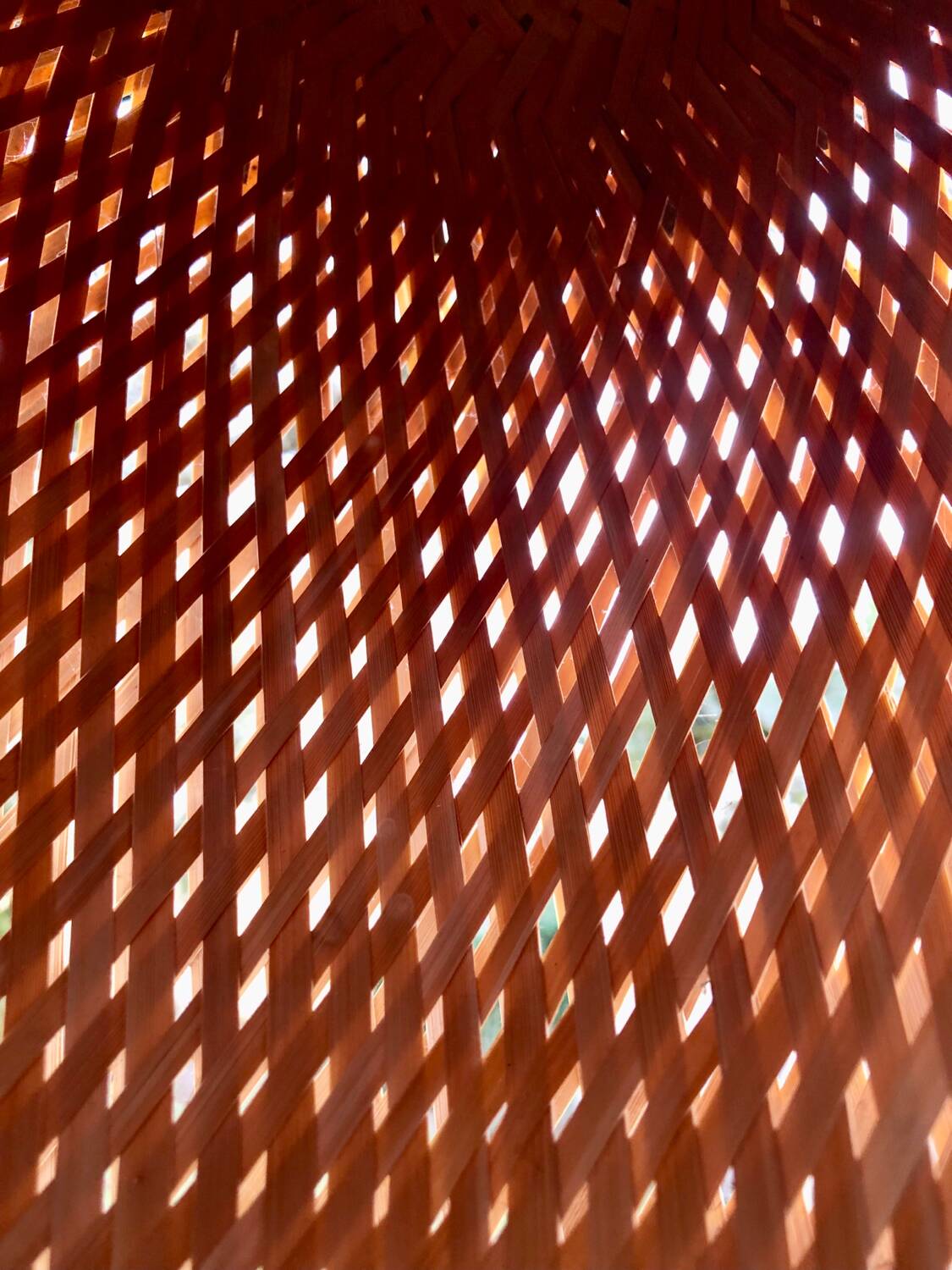 Bamboo ball pendant light