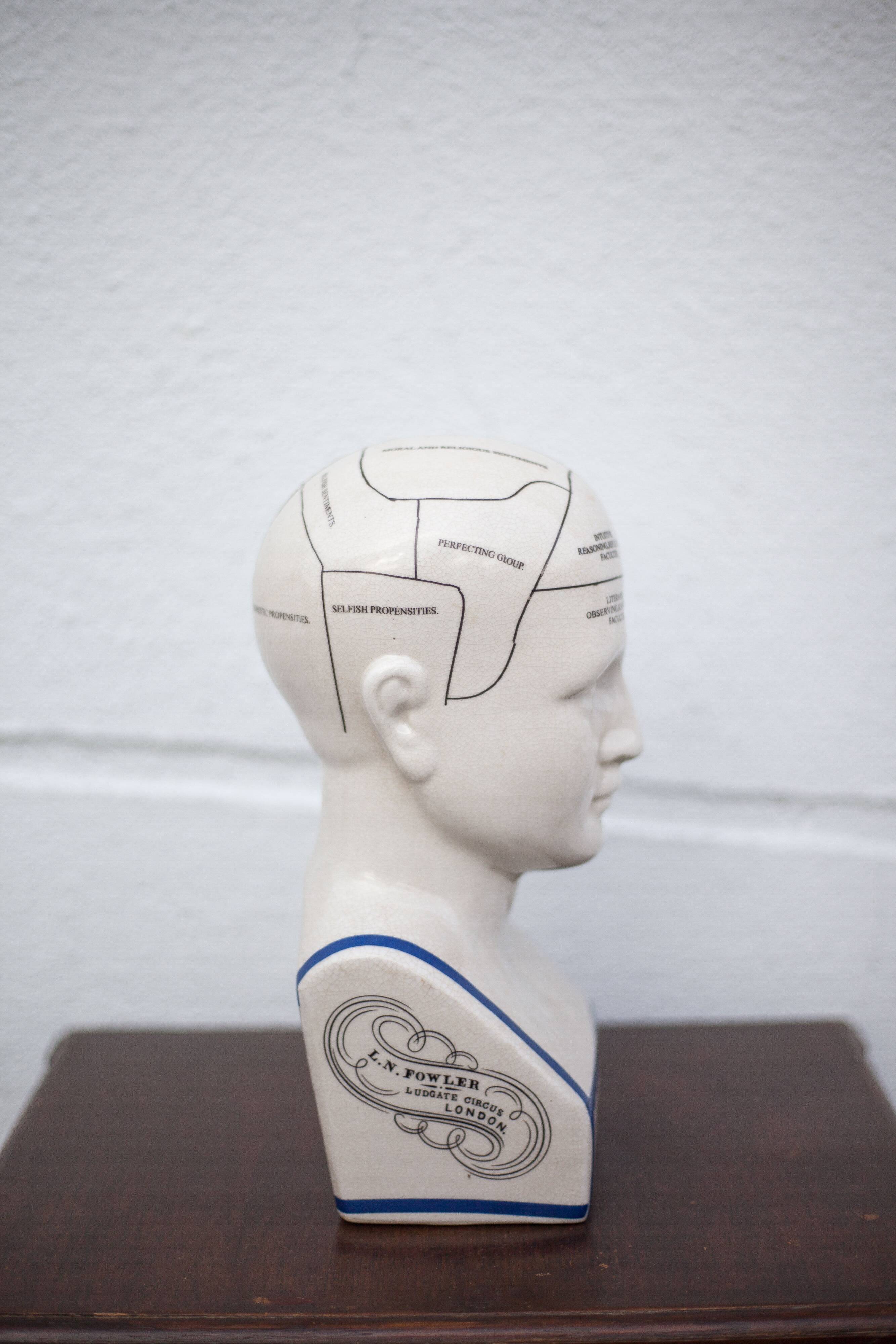 Porcelain bust, Fowler phrenology head, cabinet of curiosities, collection