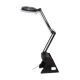 J. Toulemonde's Lamp