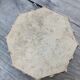 Antique carved stone game board