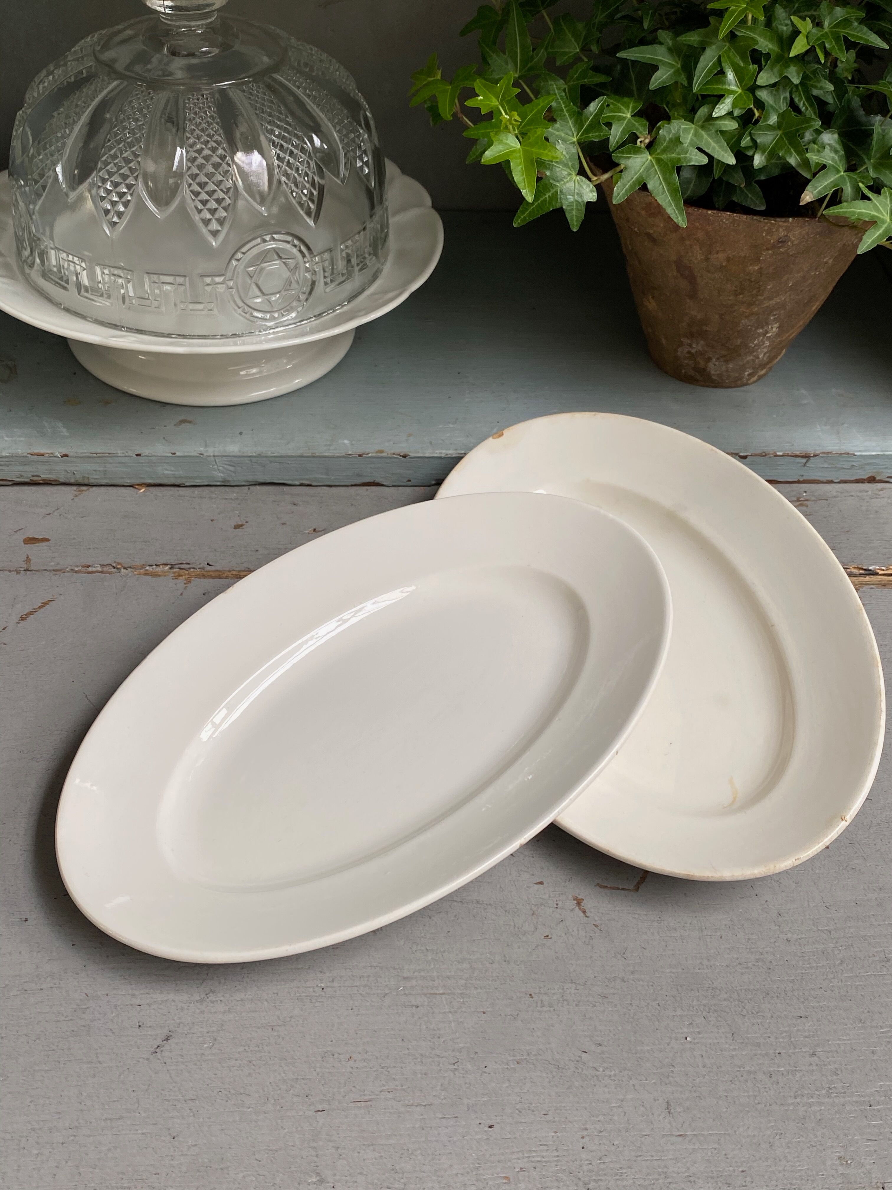 Pair of old dishes digoin