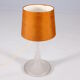 Frosted glass lamp and wild silk