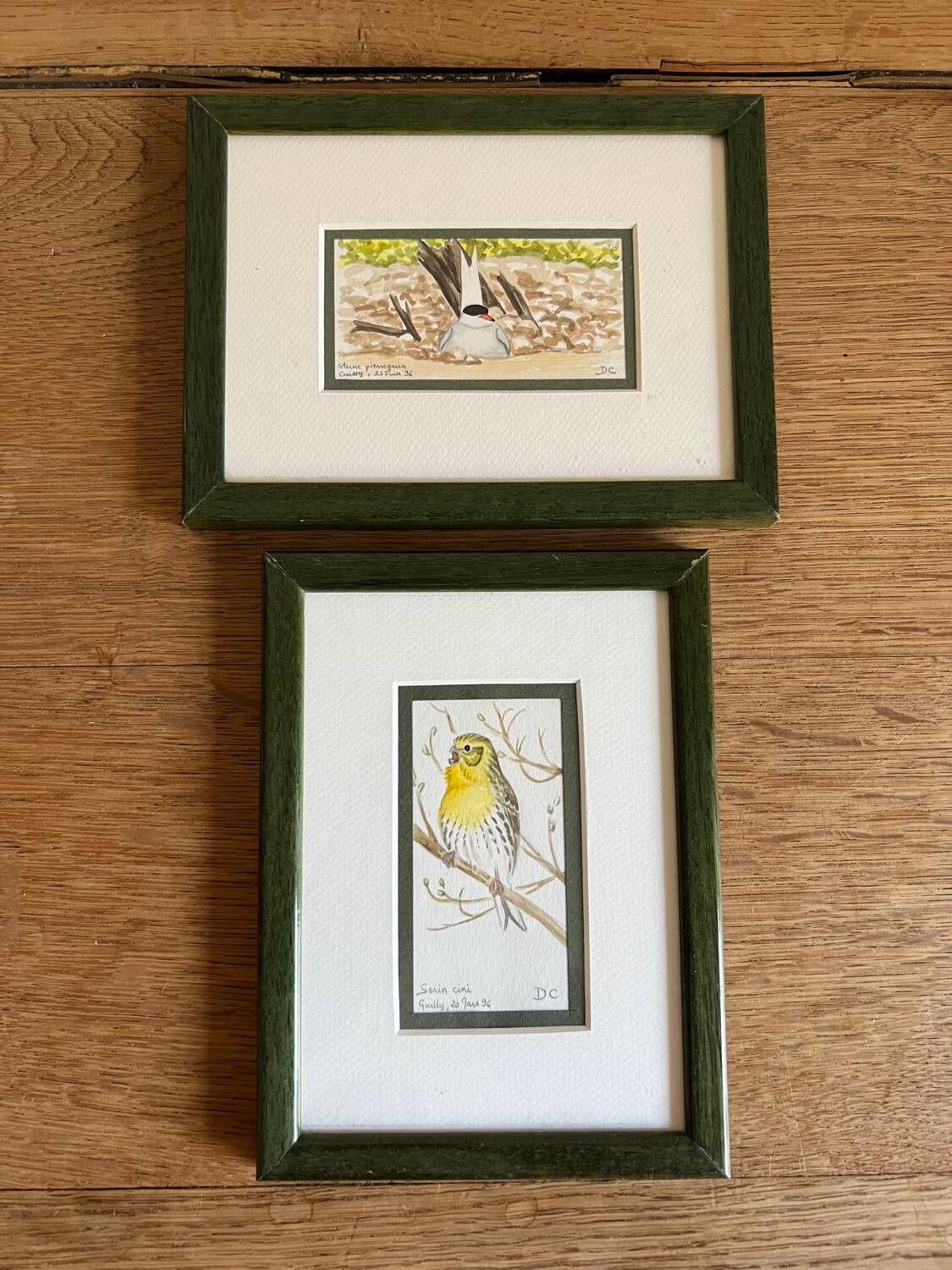 2 watercolors birds