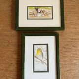 2 aquarelles oiseaux