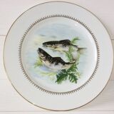 Lot 6 assiettes à poisson anciennes, porcelaine Sofafils