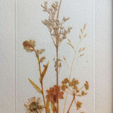 Frame dried plants