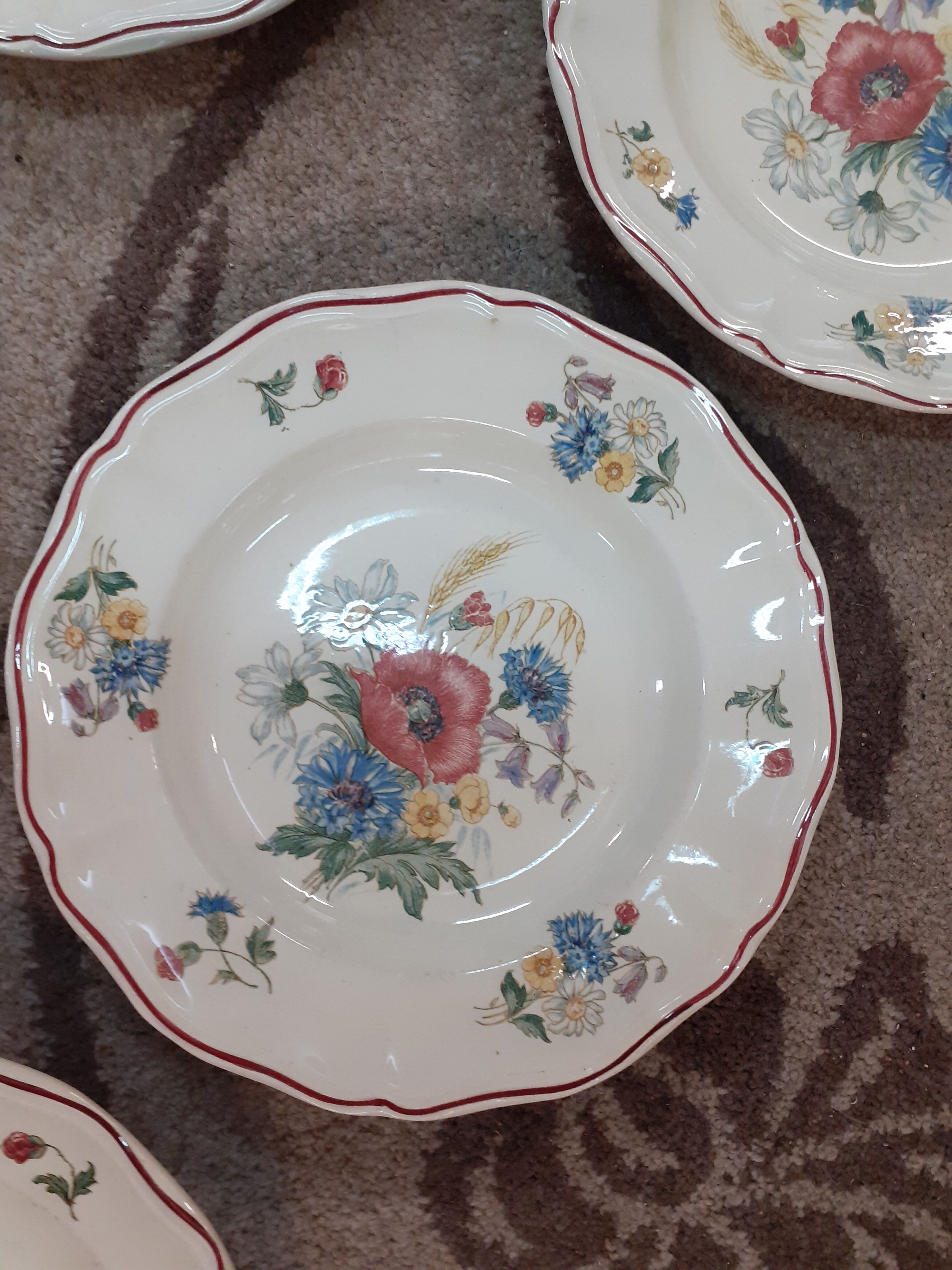 Lot de 6 assiettes creuses Sarreguemines modèle Agreste