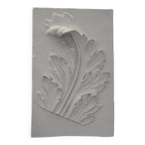 Plaster bas-relief of an acanthus leaf