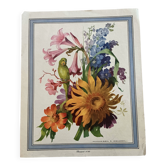 Illustration florale ancienne