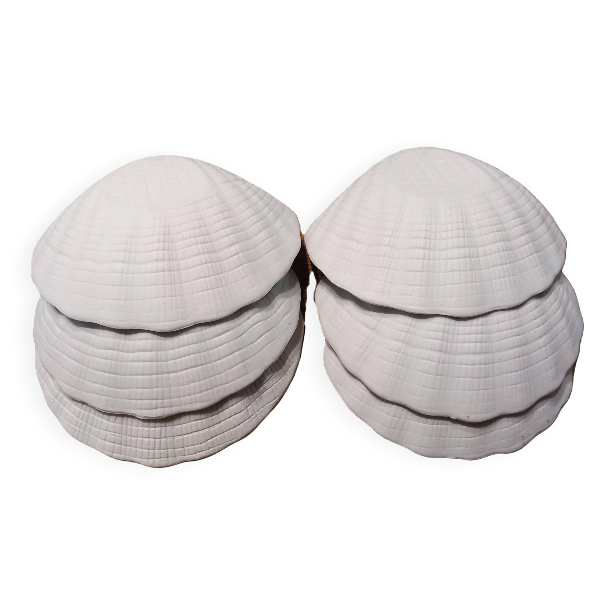 Set of 6 porcelain scallop shells for the oven