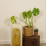 Vase vintage en poterie