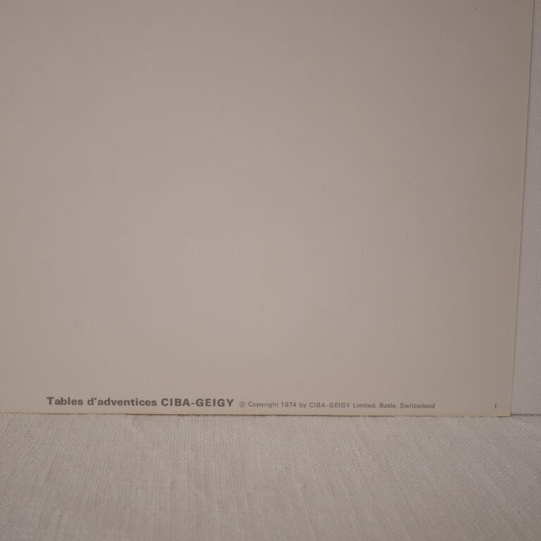 Botanical board Mouron des champs