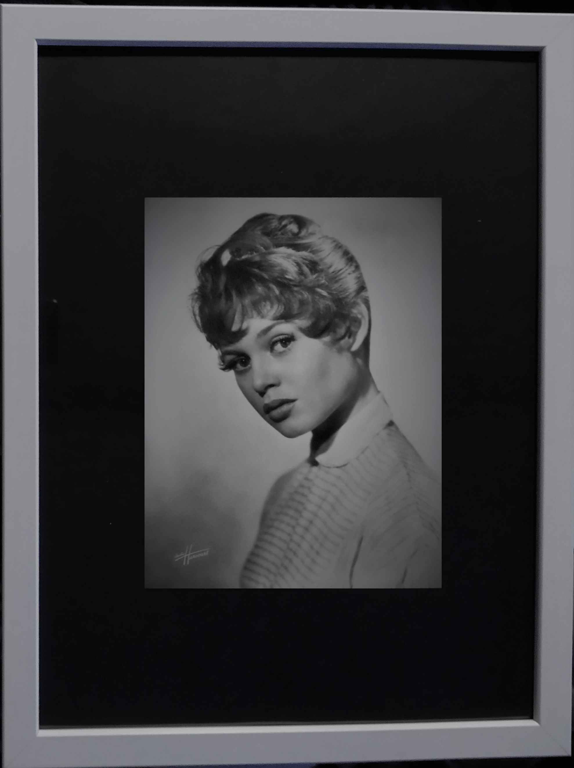 Original photograph of " Brigitte Bardot" from 1954 "Harcourt"