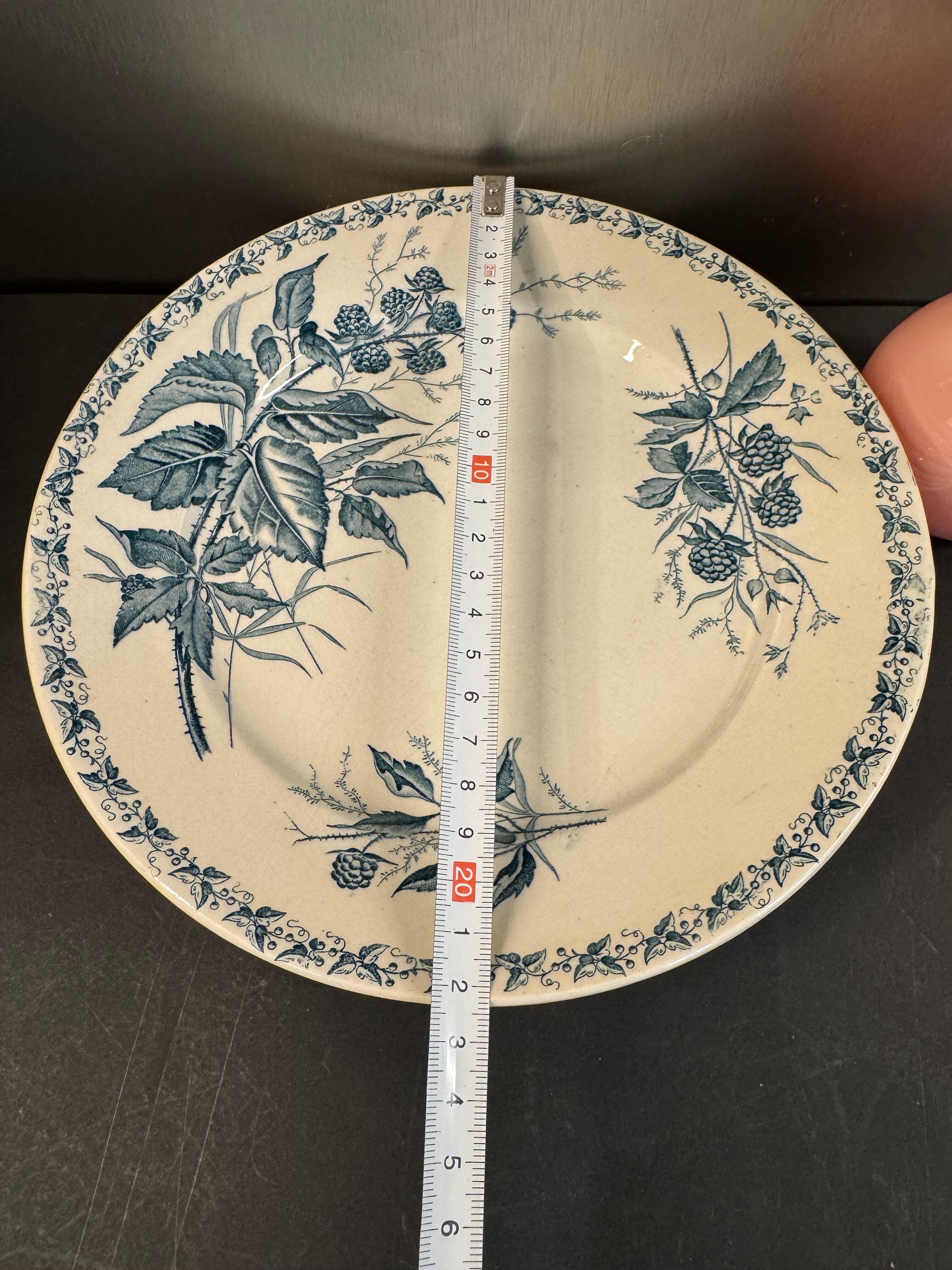 7 deep plates in ironstone "Mûre" Badonviller