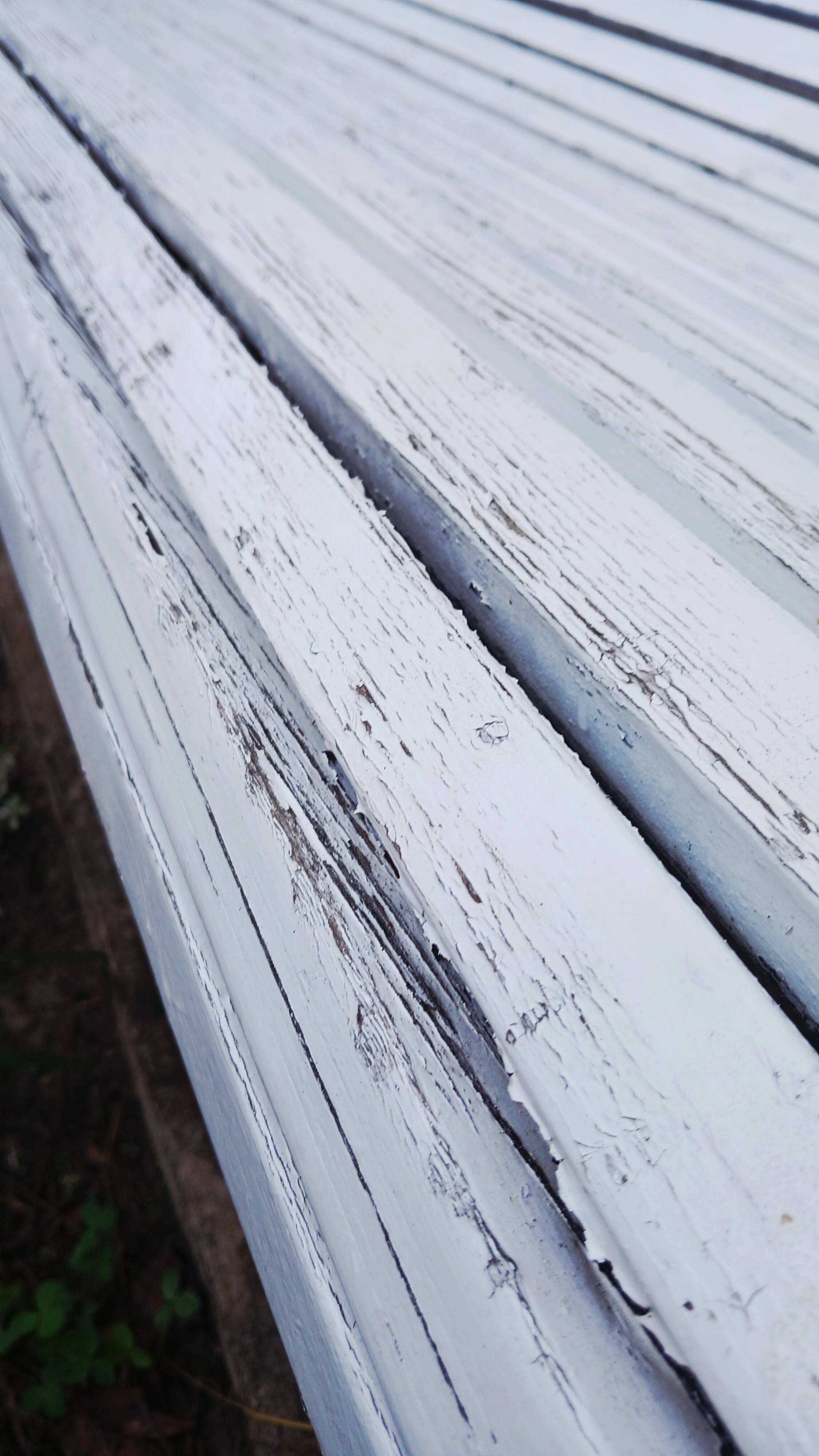 Cast iron and wooden slat garden bench from the early 20th century