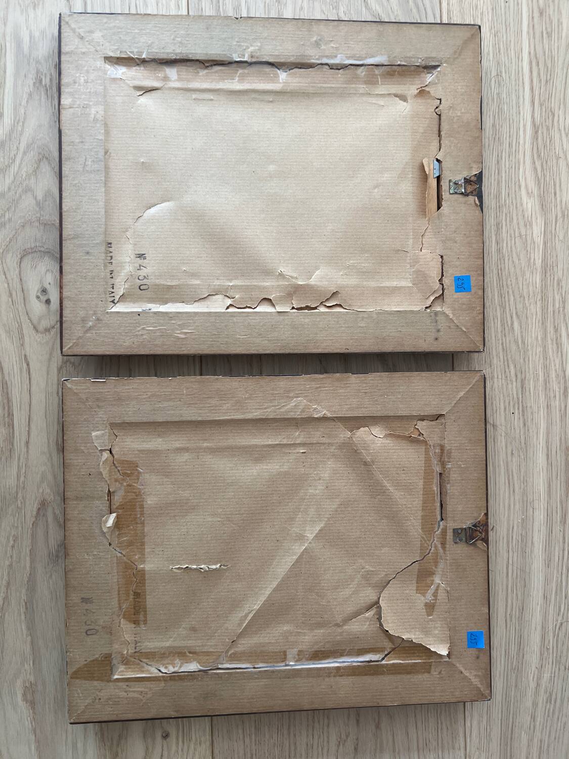 Plant engraving frame duo