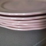 6 flat plates in pink earthenware by Salins