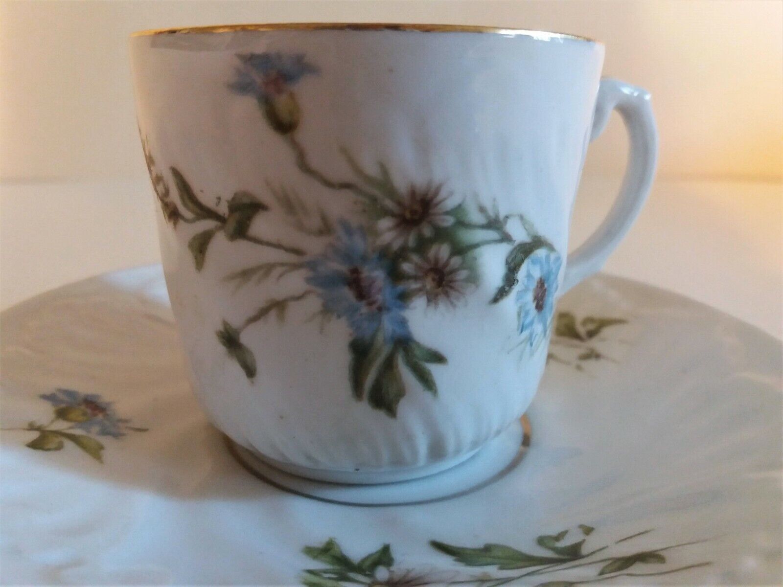 Porcelain cup and sub-cup decorated with daisies 1900
