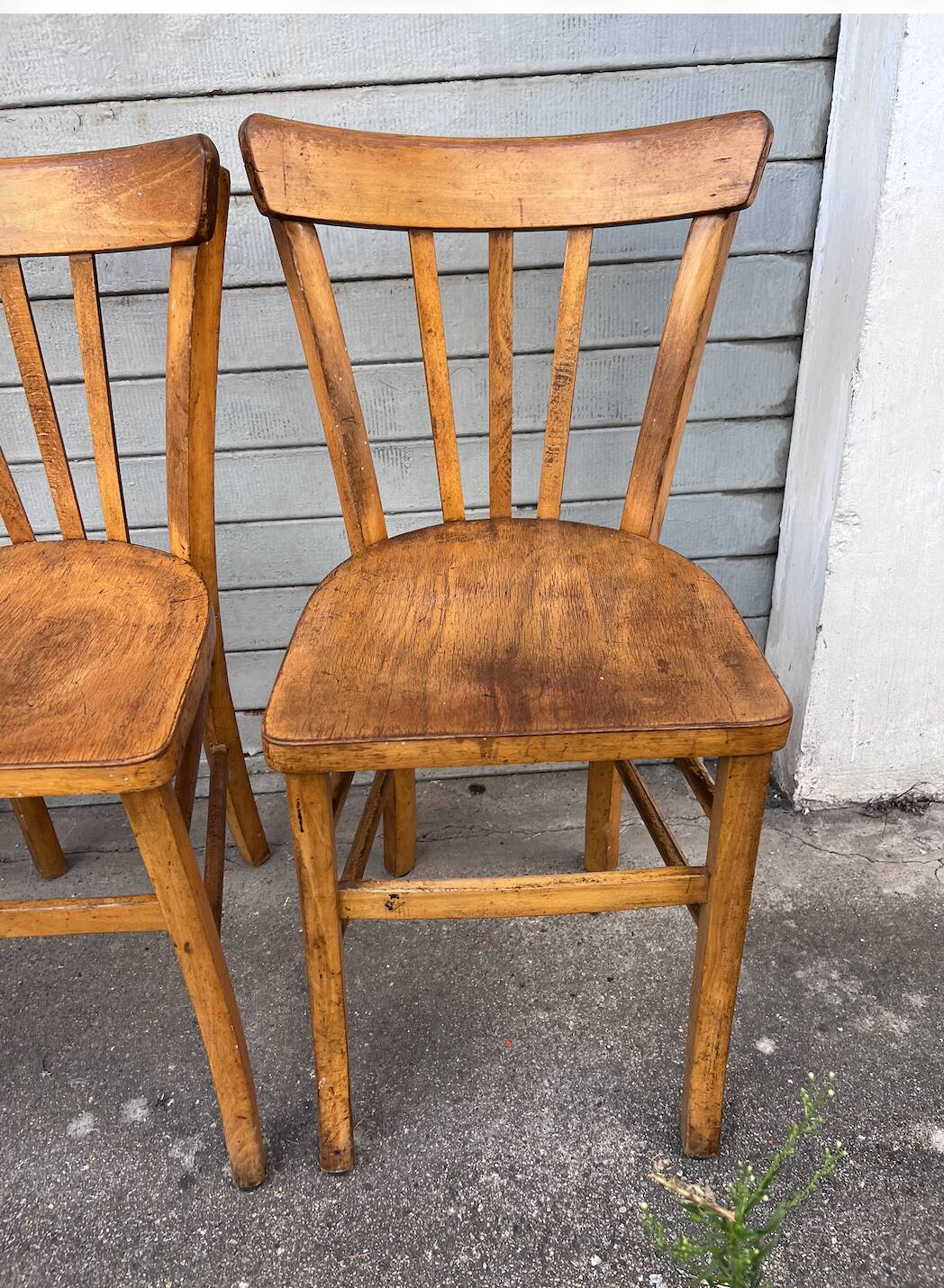 (Lot) 4 Honey Bistro Chairs