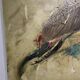 Grand Tableau toucan - Georges Rossi