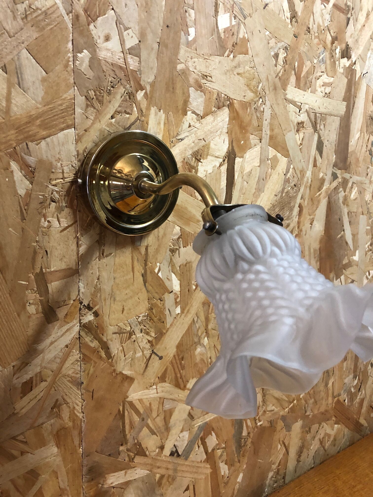 Tulip wall lamp sandblasted glass